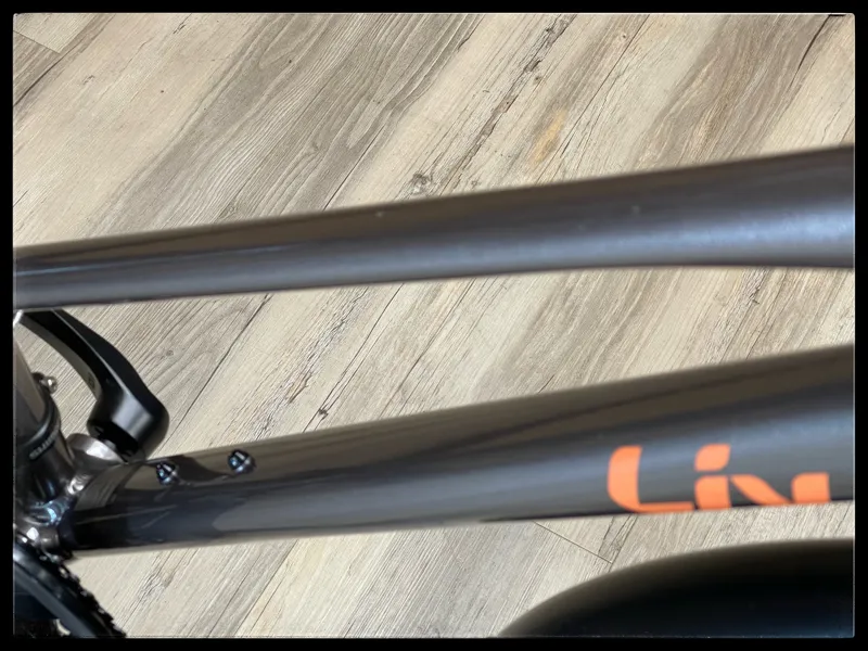 Liv Alight 2 City Disc X-Small Metal 2022-2